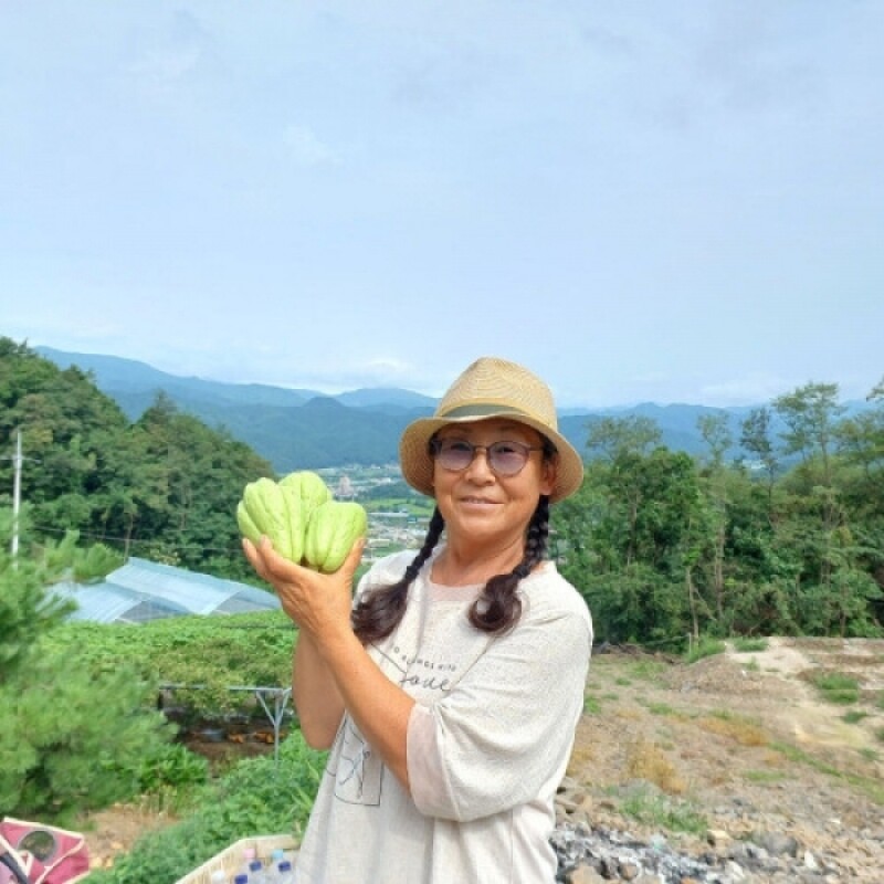 강원평창몰,평창 우렁각시농장 차요테 2kg